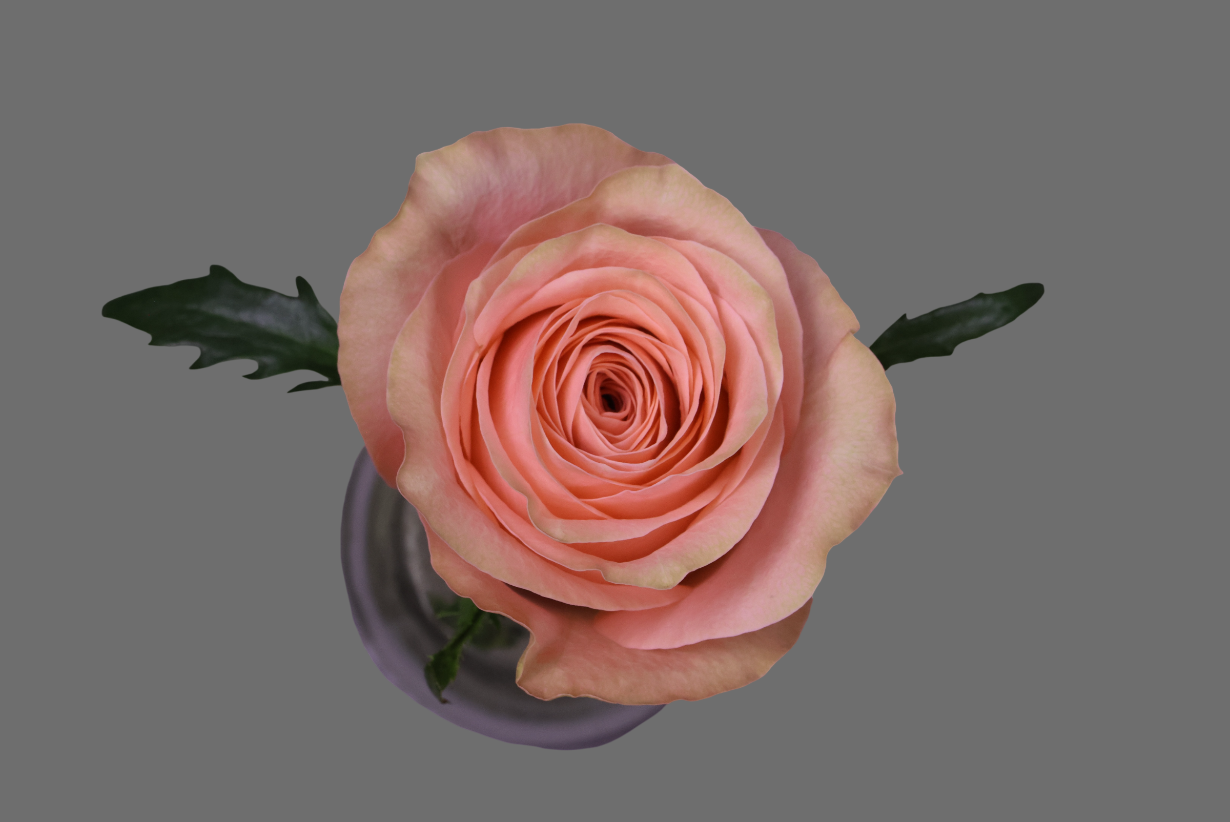 200403-06