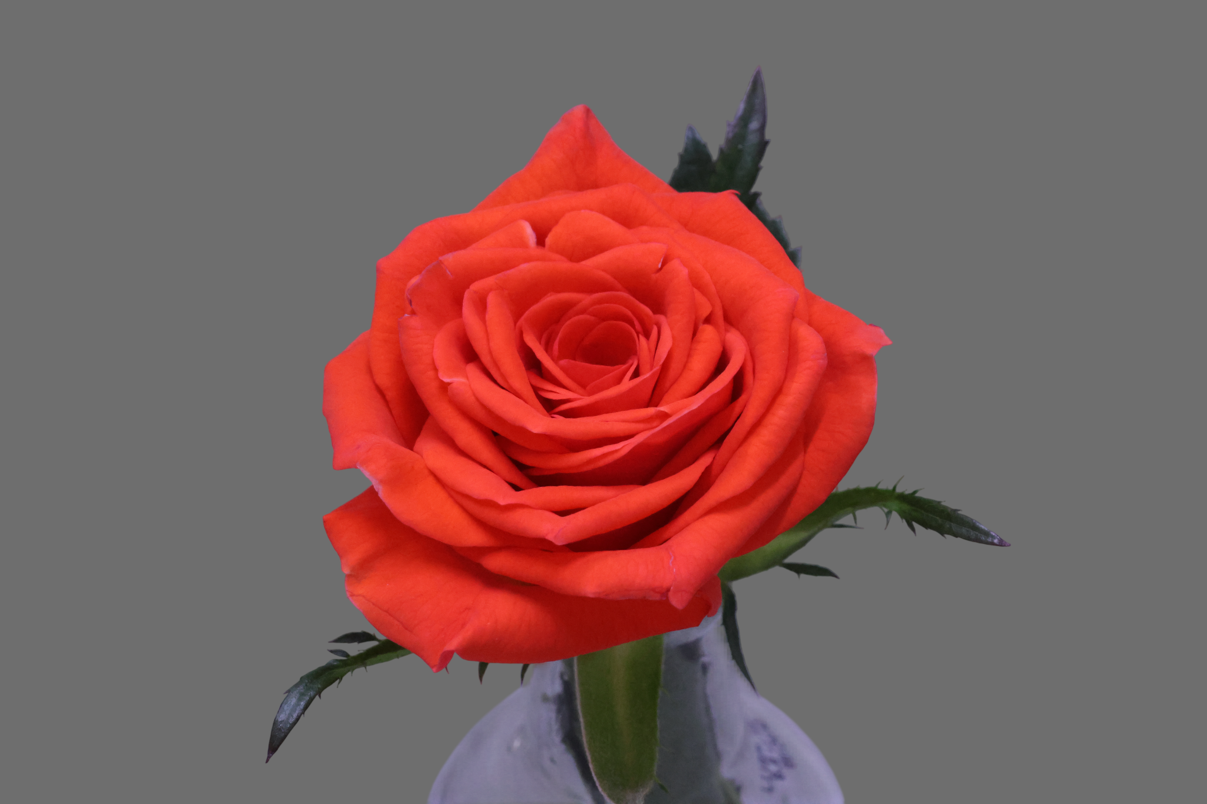 200567-08